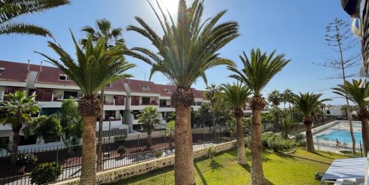 1 Bedroom Apartment – Las Americas